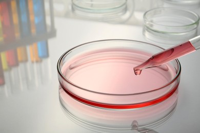 Dripping red reagent into Petri dish with sample on white table, closeup