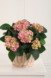 Photo of Beautiful blooming pink hortensia in wicker basket on white table