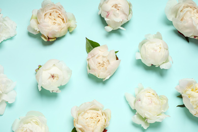 Beautiful white peonies on turquoise background, flat lay