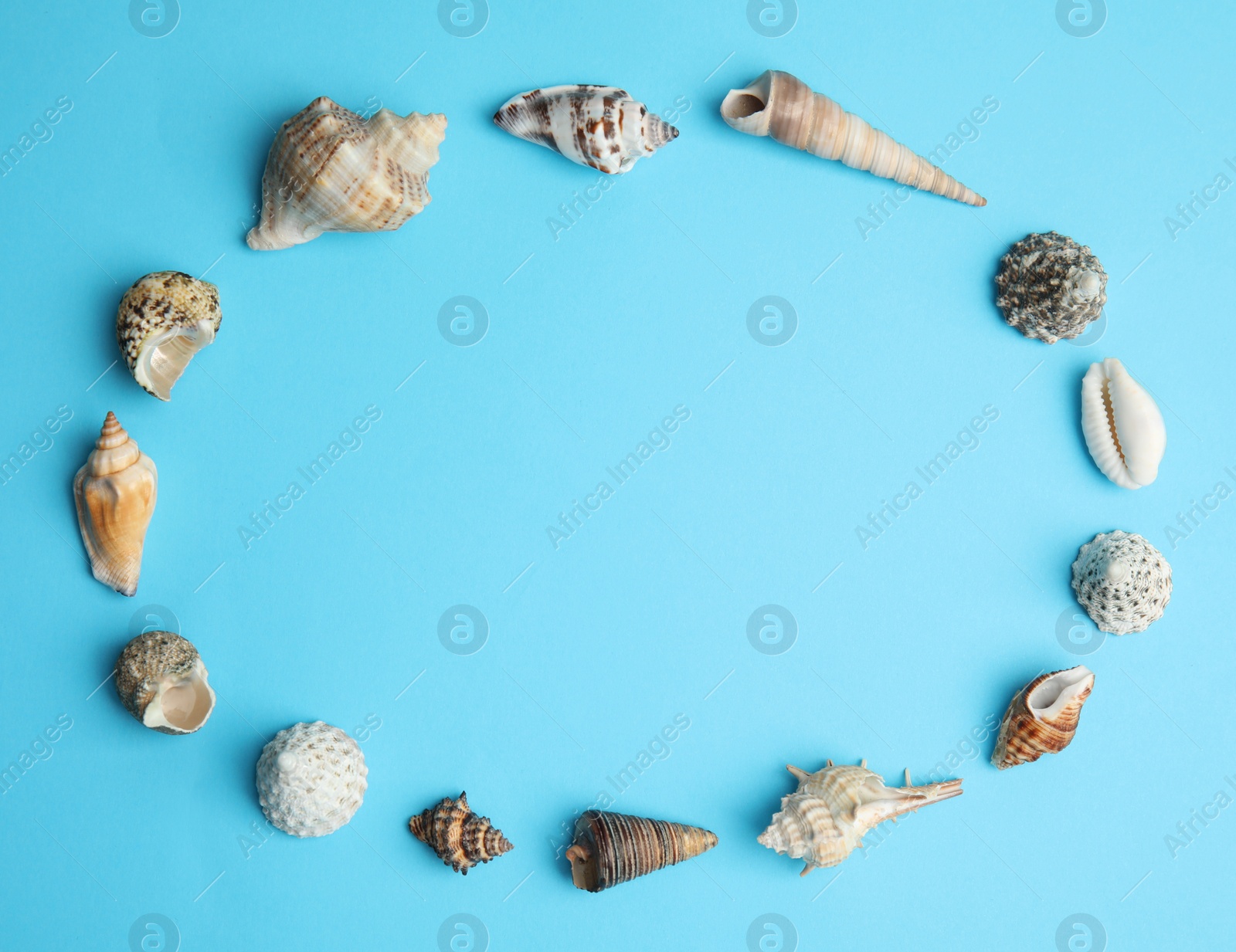 Photo of Frame made with different sea shells on light blue background, flat lay. Space for text