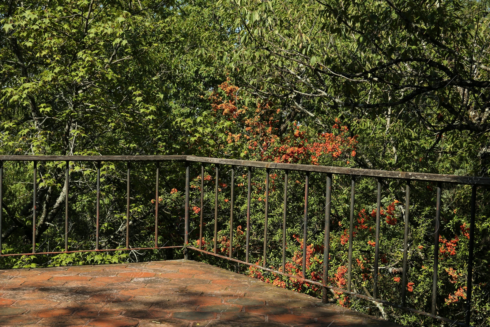 Photo of Hand railings near many beautiful trees outdoors