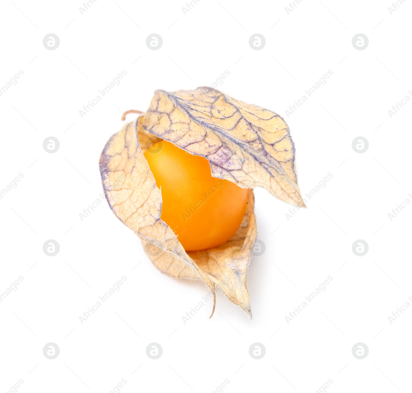 Photo of Ripe physalis fruit with calyx isolated on white