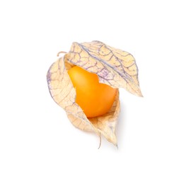 Ripe physalis fruit with calyx isolated on white