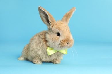 Adorable furry Easter bunny with cute bow tie on color background