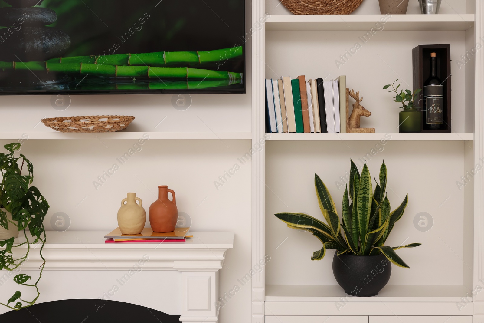 Photo of TV and shelves with different decor and houseplants in room. Interior design