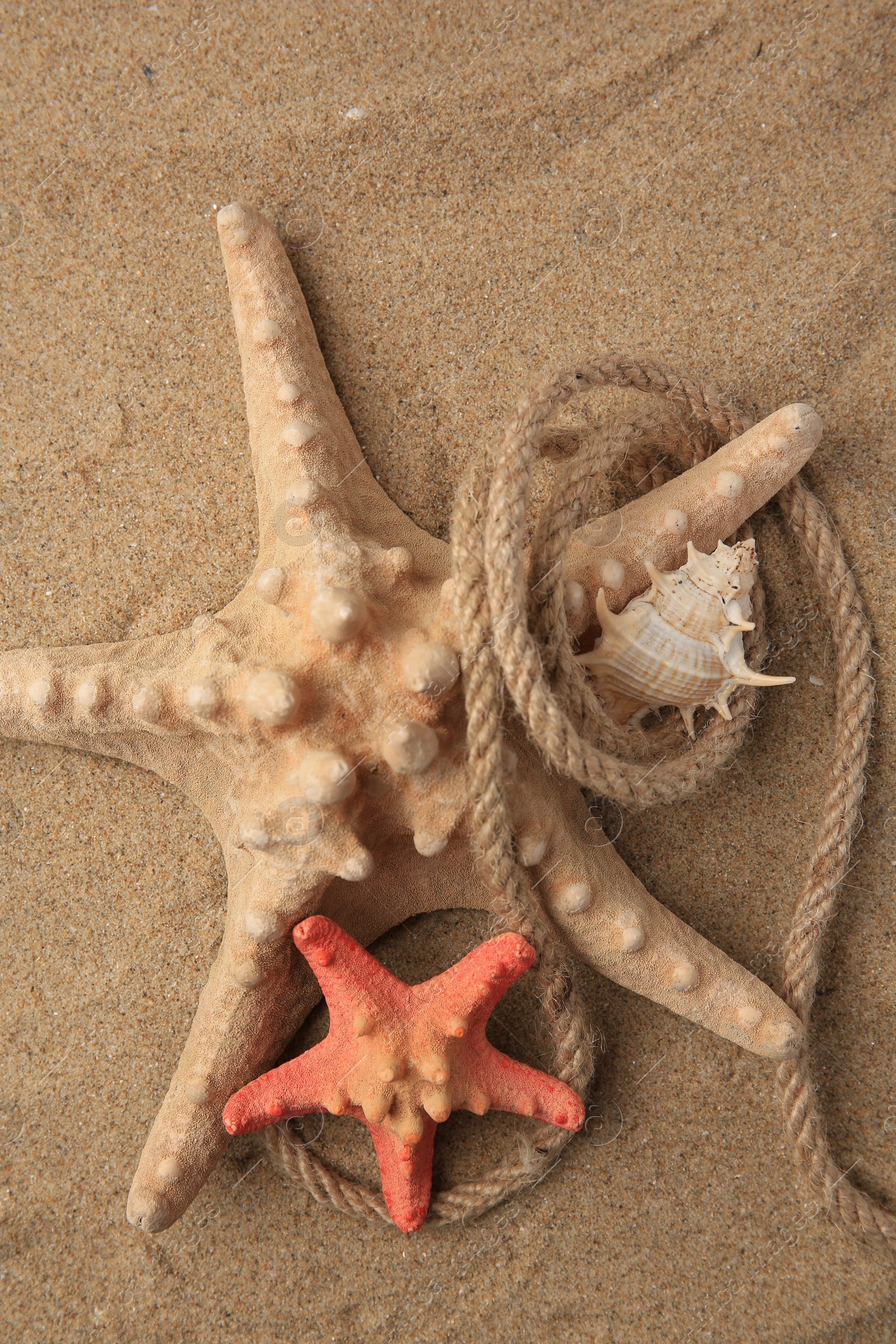 Photo of Beautiful starfishes, sea shell and rope on sand, flat lay