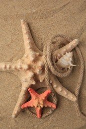 Beautiful starfishes, sea shell and rope on sand, flat lay