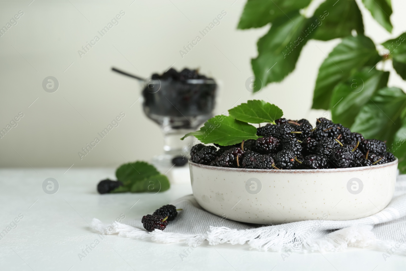 Photo of Bowl of delicious ripe black mulberries on white table, space for text