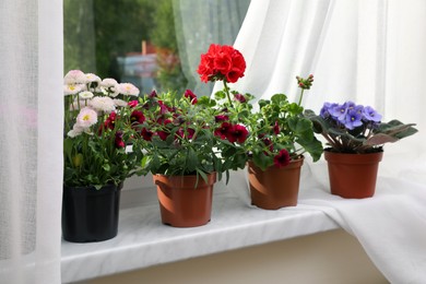 Photo of Different beautiful potted flowers on windowsill indoors