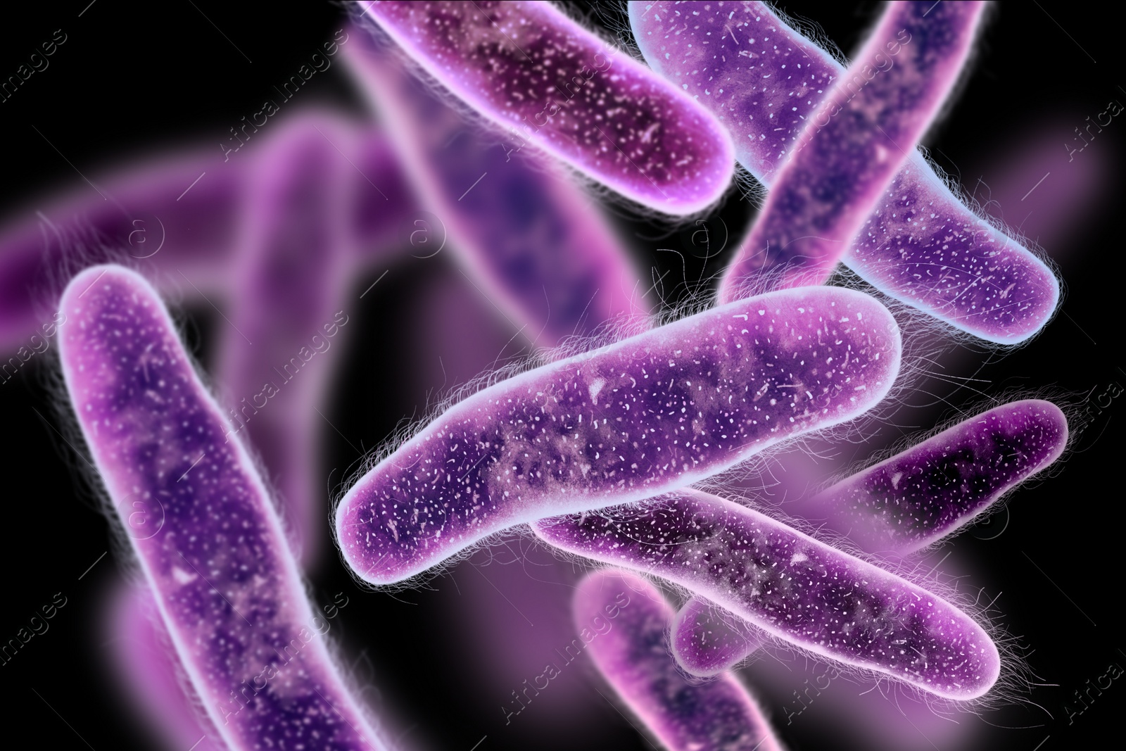 Illustration of Bacteria colony under microscope, illustration. Cystitis, infection of urinary bladder