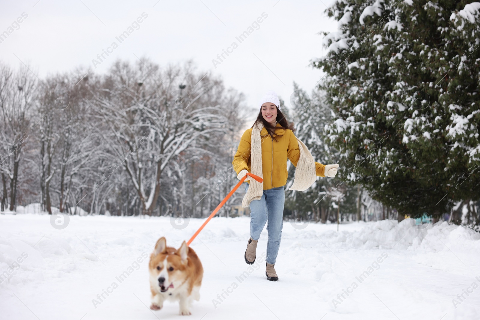 Photo of Woman with adorable Pembroke Welsh Corgi dog running in snowy park