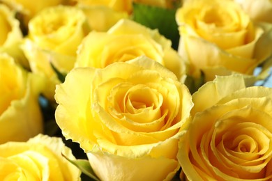 Beautiful bouquet of yellow roses, closeup view