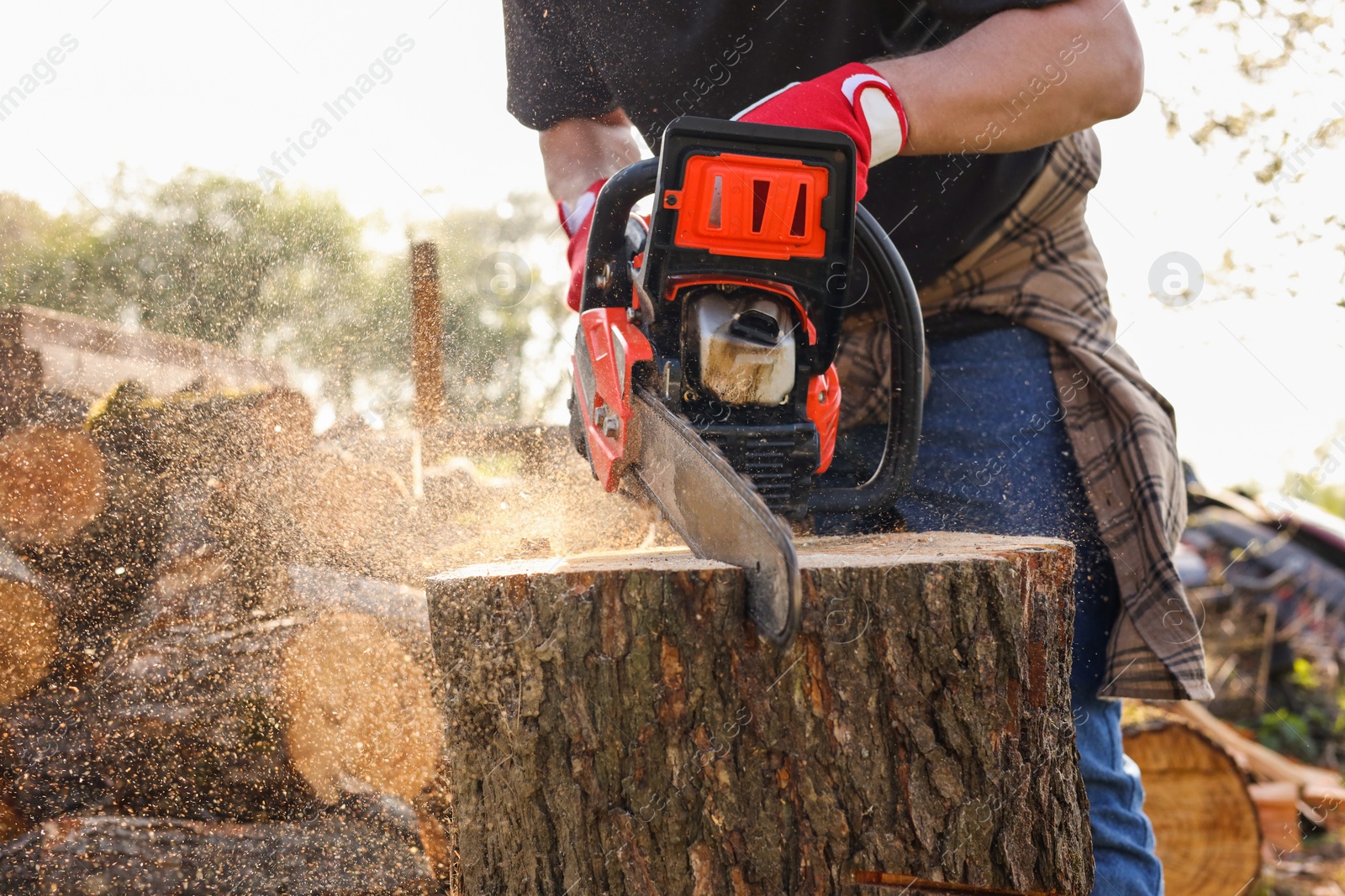 Photo of Man sawing wooden log on sunny day, closeup