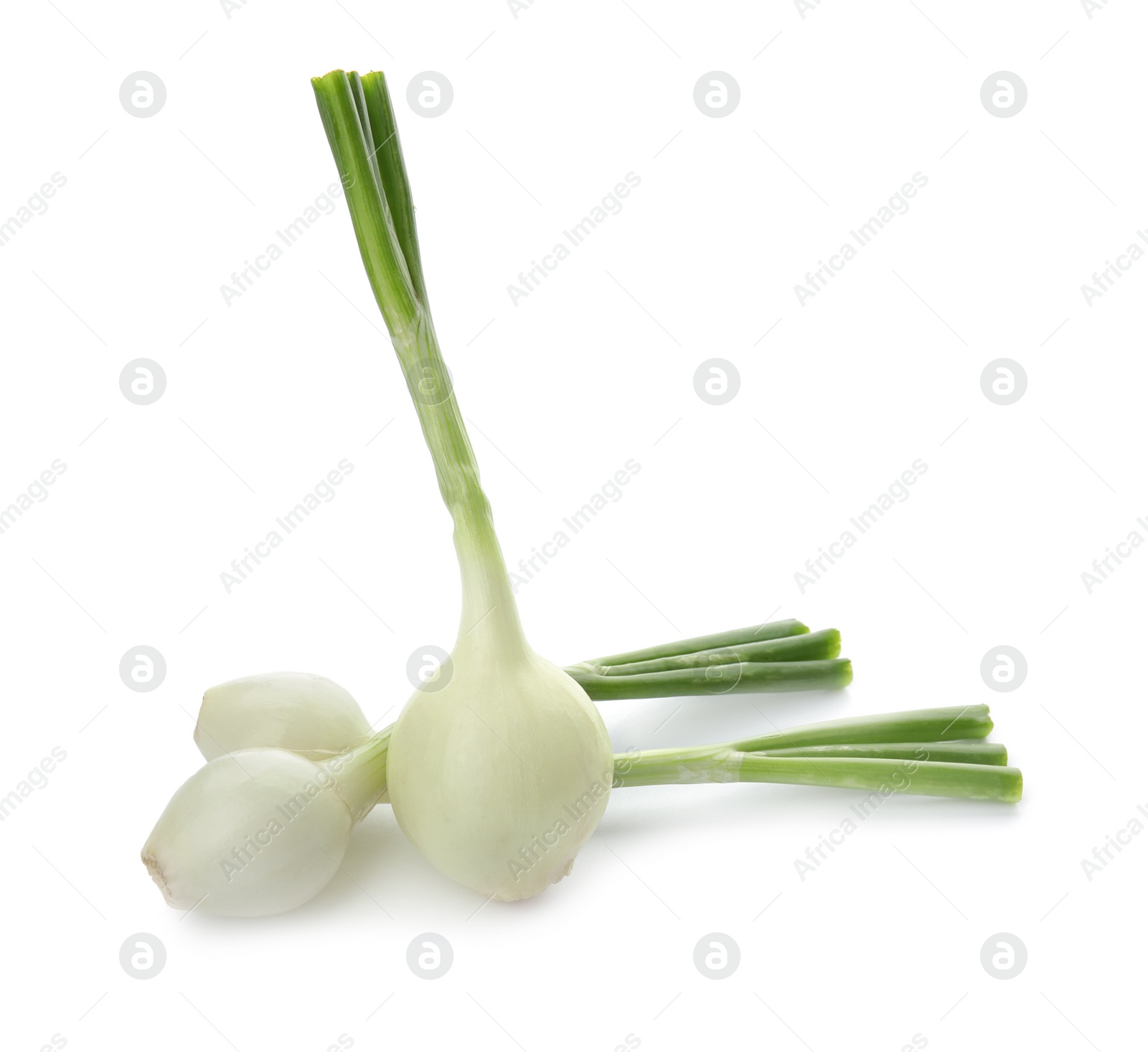 Photo of Fresh green onion on white background