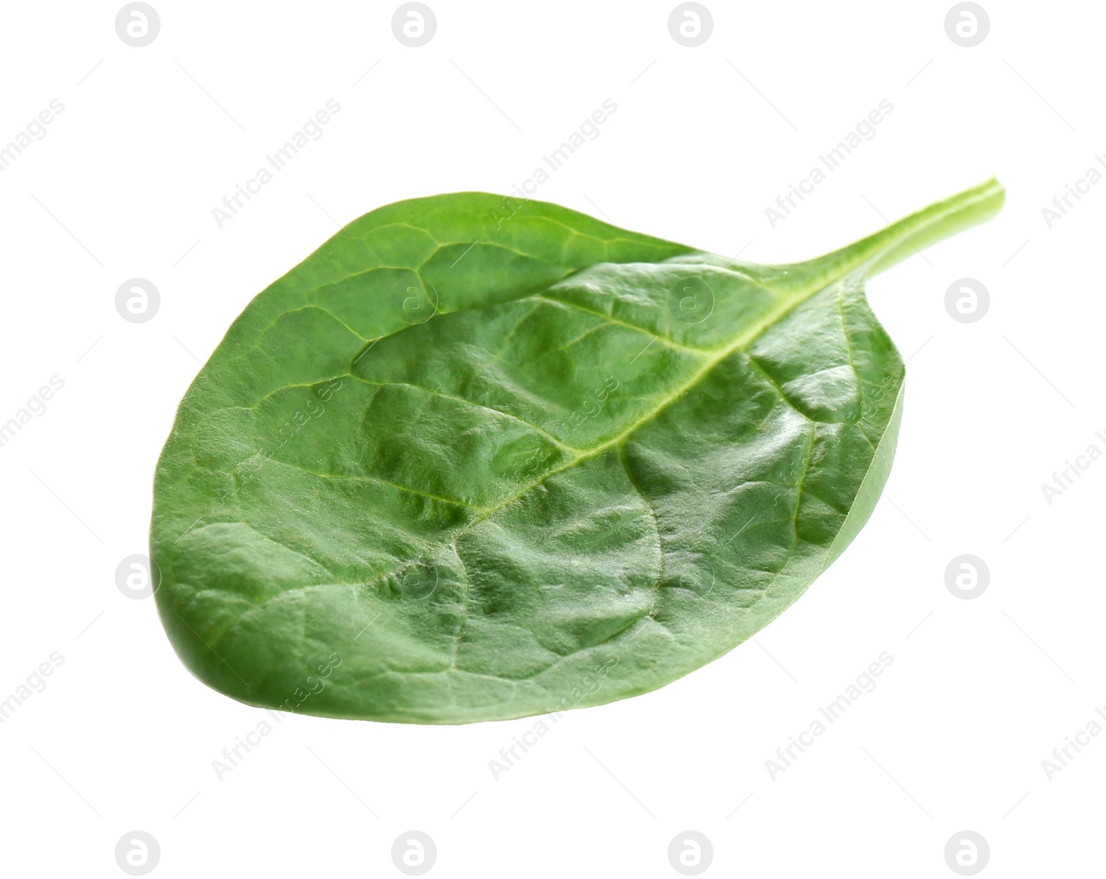 Photo of Fresh green healthy baby spinach leaf isolated on white