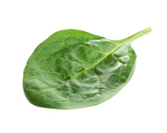 Photo of Fresh green healthy baby spinach leaf isolated on white