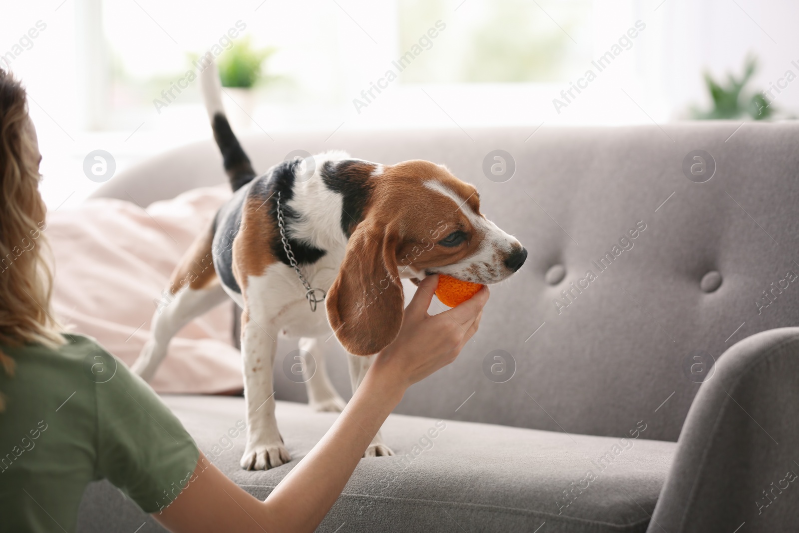 Photo of Young woman playing with her dog at home