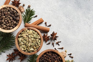 Photo of Different aromatic spices and fir branches on light textured table, flat lay. Space for text