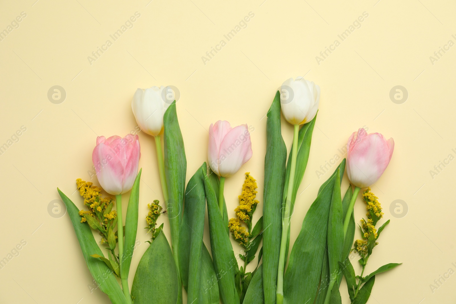 Photo of Flat lay composition with spring flowers on yellow background