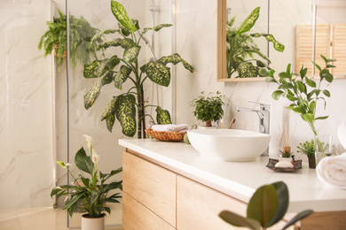 Photo of Beautiful green plants in elegant modern bathroom. Interior design