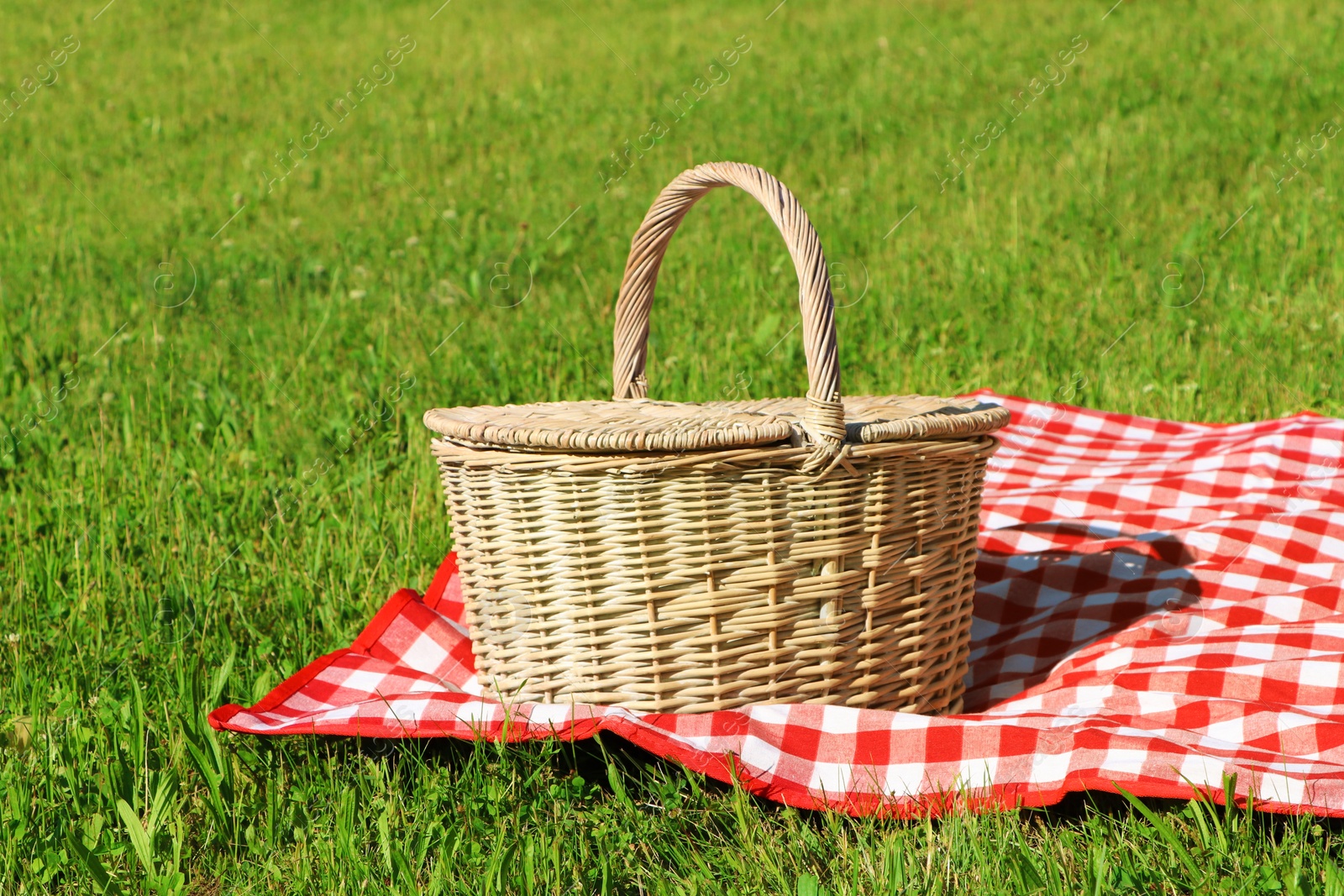 Photo of Picnic basket with checkered tablecloth on green grass outdoors