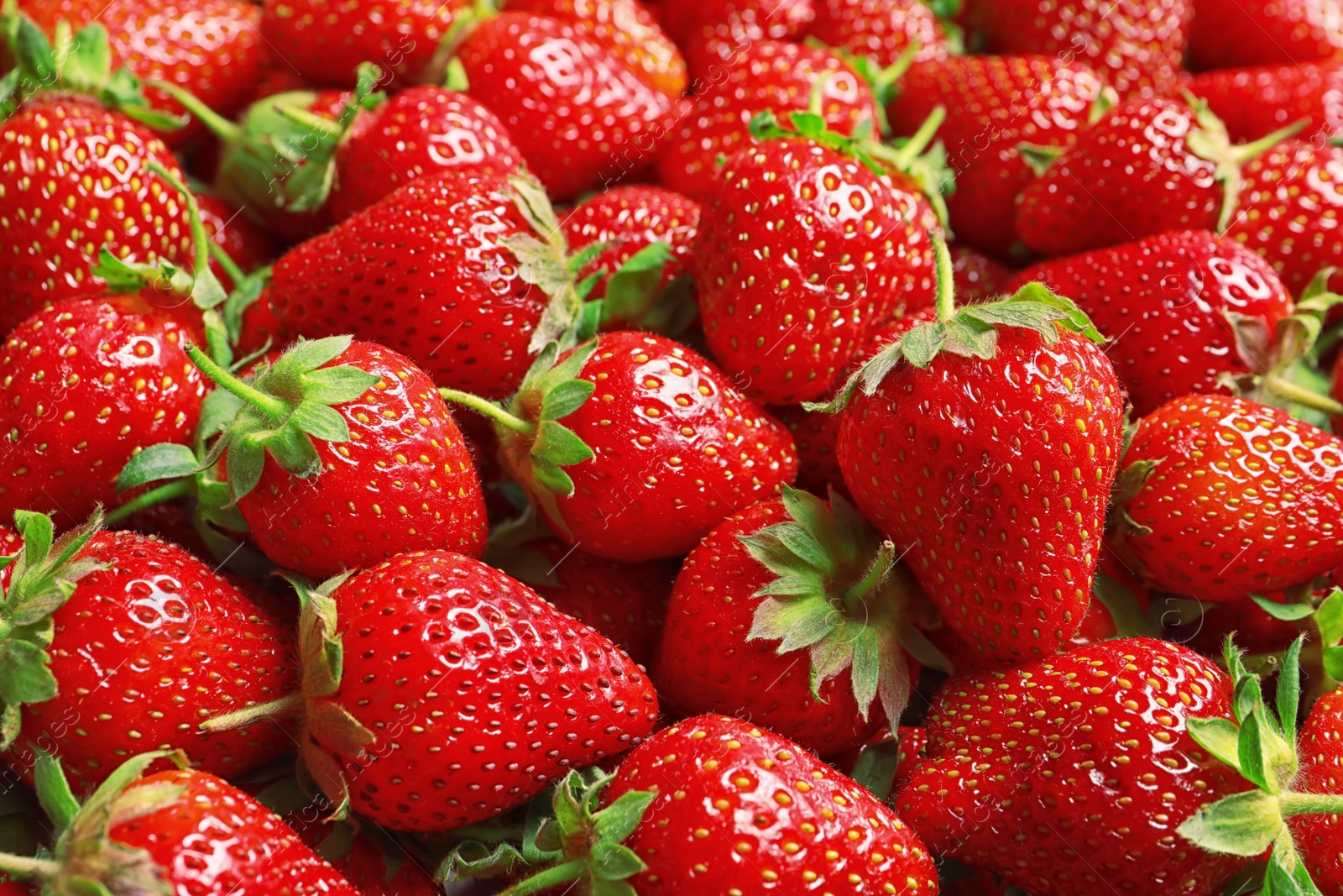 Photo of Many fresh ripe strawberries as background, closeup