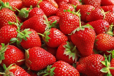 Many fresh ripe strawberries as background, closeup