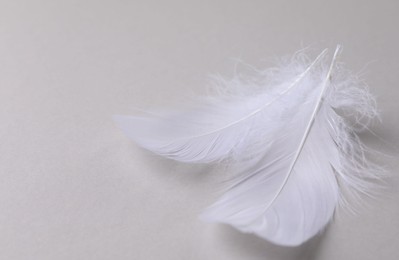 Fluffy white feathers on light grey background, closeup. Space for text