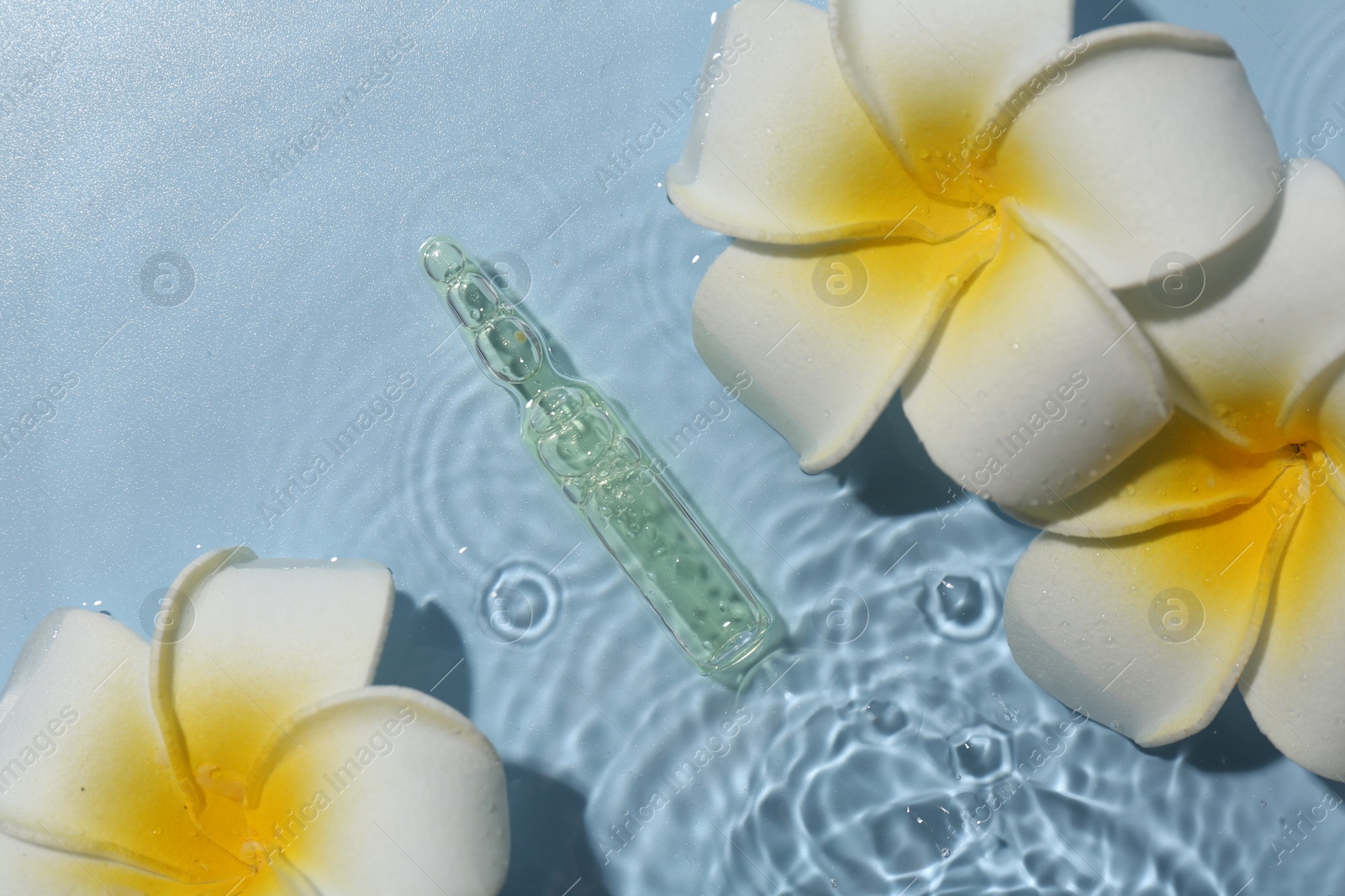 Photo of Skincare ampoule and beautiful plumeria flowers in water on light blue background, flat lay