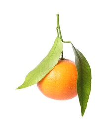 Photo of One fresh tangerine with green leaves isolated on white