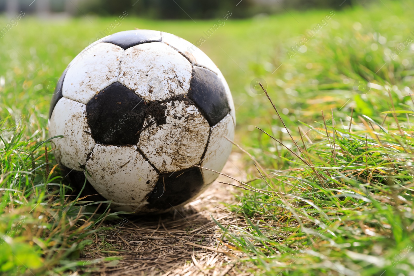 Photo of Dirty soccer ball on green grass outdoors, space for text