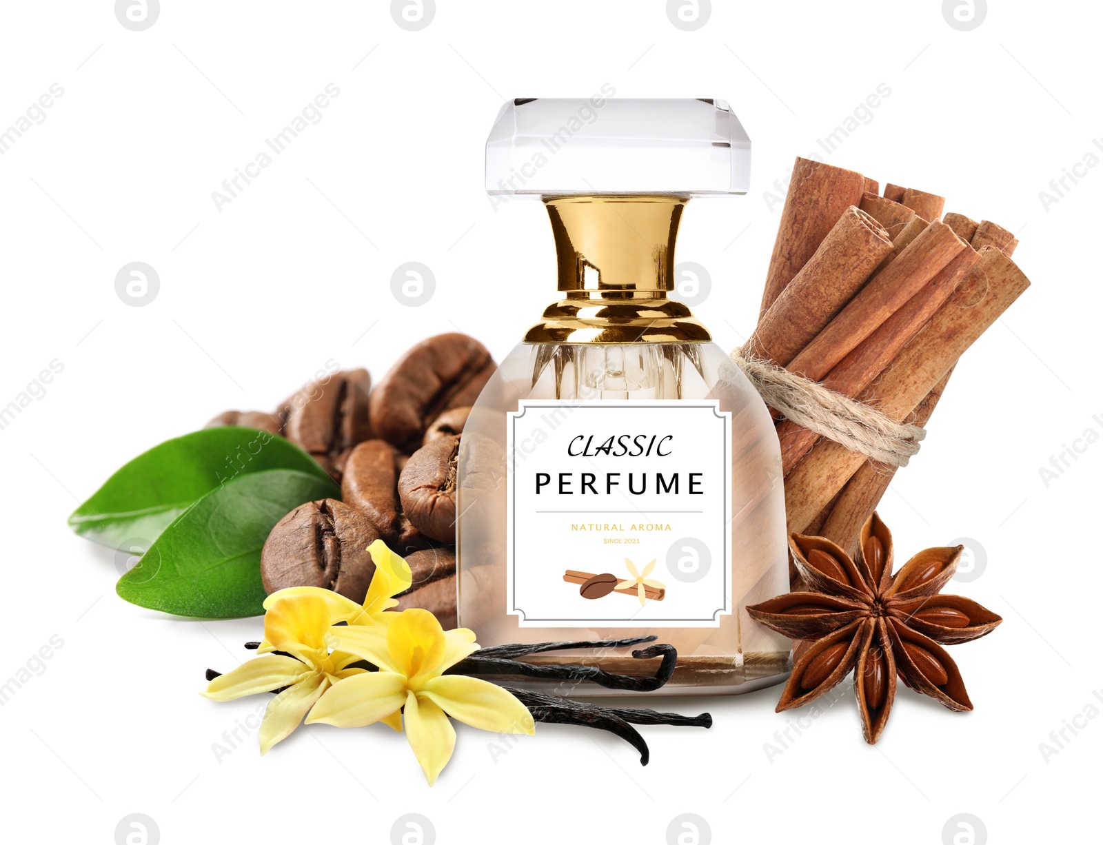 Image of Bottle of perfume and different spices on white background