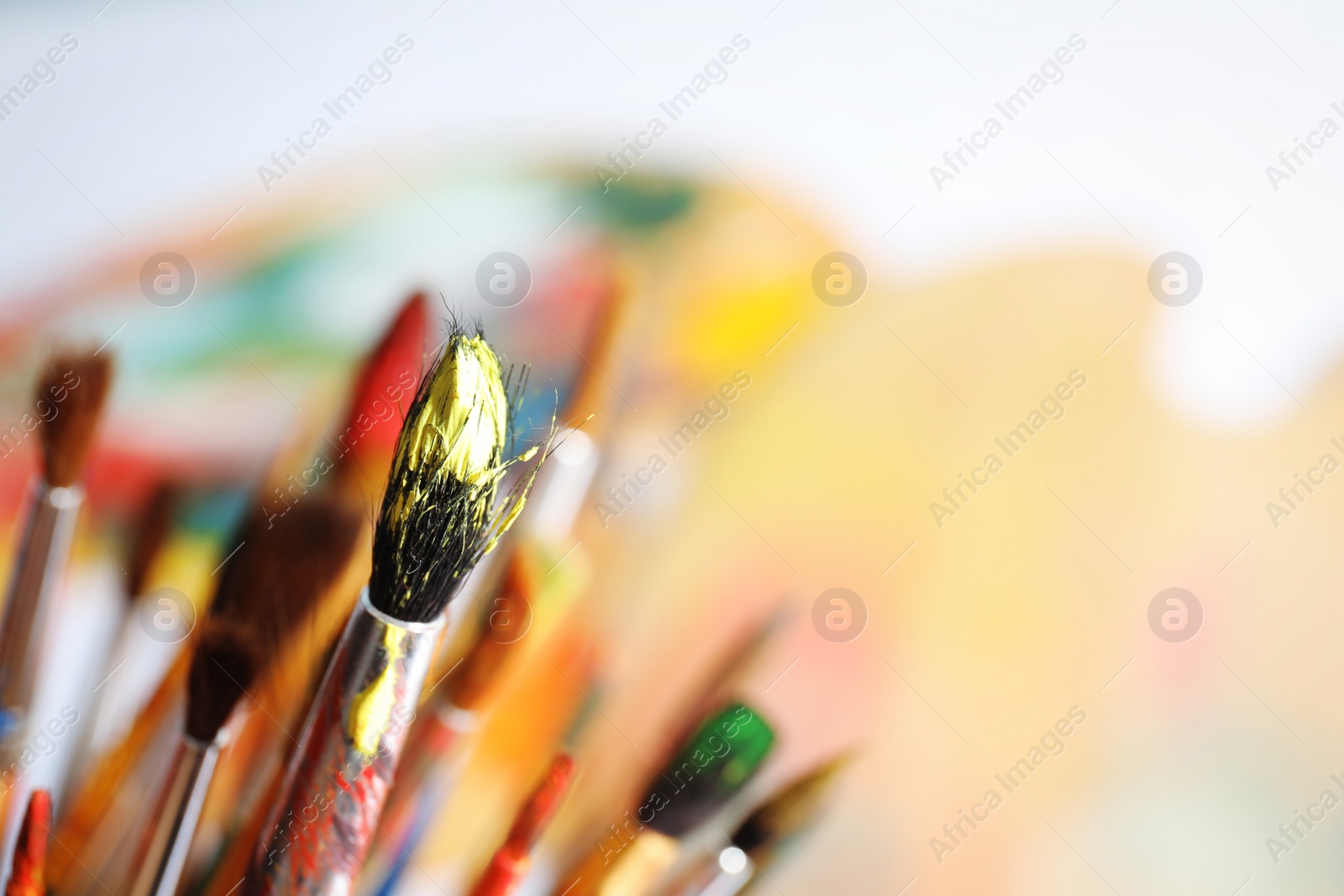 Photo of Different paint brushes on blurred background, closeup. Space for text