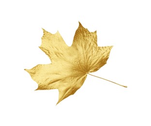 Photo of One golden maple leaf isolated on white. Autumn season