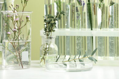 Photo of Ingredients for herbal cosmetic products in laboratory