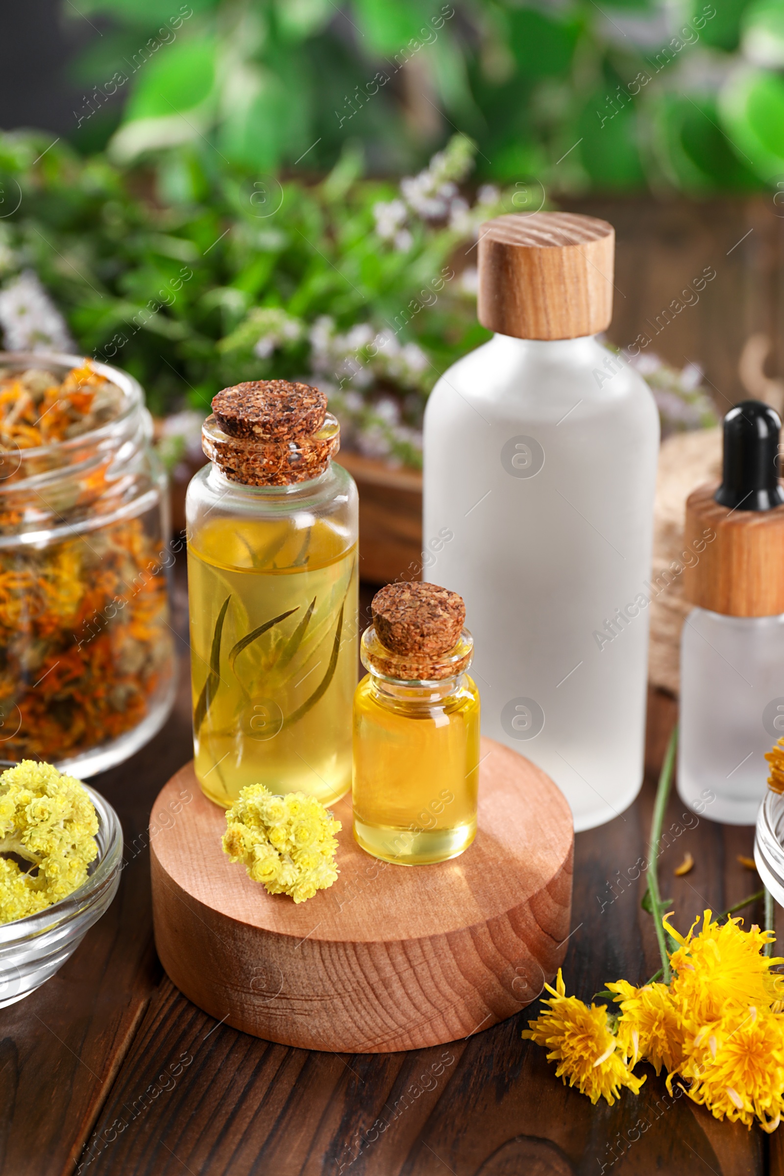 Photo of Bottles of essential oils and different herbs on wooden table