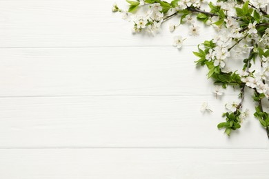 Photo of Cherry tree branches with beautiful blossoms on white wooden table, flat lay. Space for text