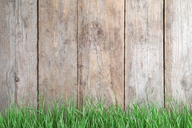 Photo of Fresh green grass near wooden fence. Space for text