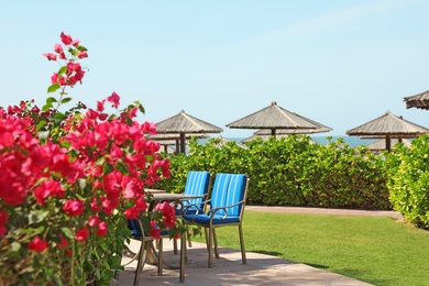 Outdoor cafe at tropical resort on sunny day