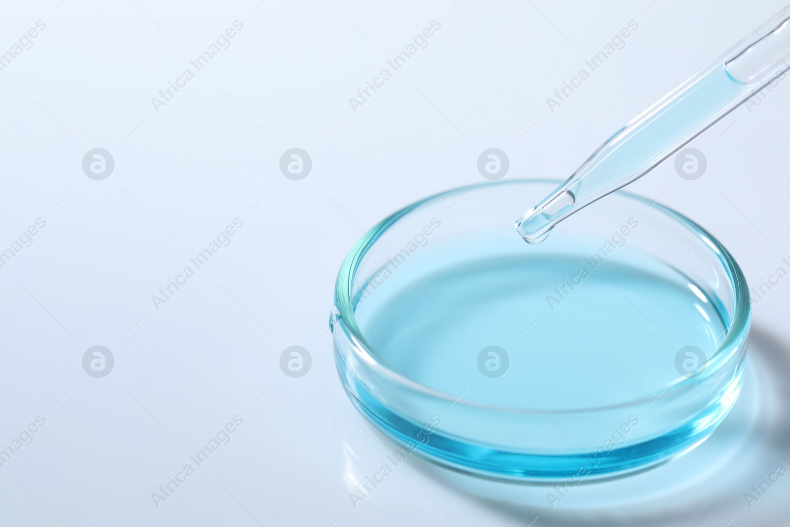 Photo of Dripping liquid from pipette into petri dish at white table, closeup. Space for text