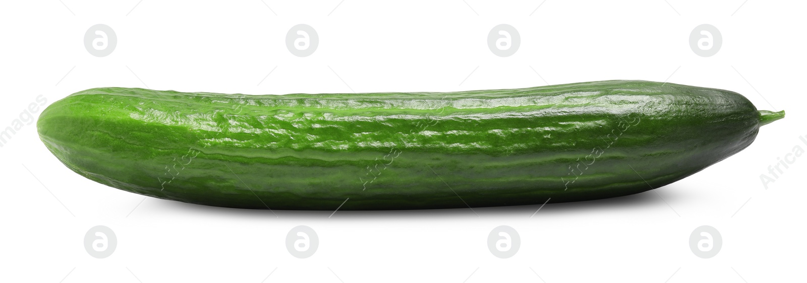 Photo of One long fresh cucumber isolated on white