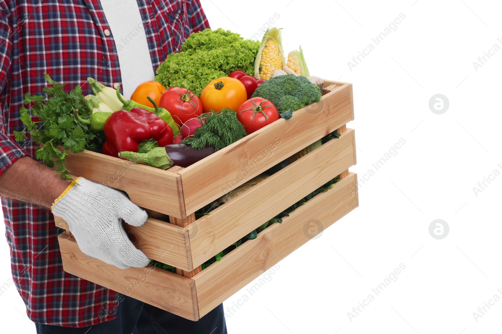 Photo of Harvesting season. Farmer holding wooden crate with vegetables on white background, closeup