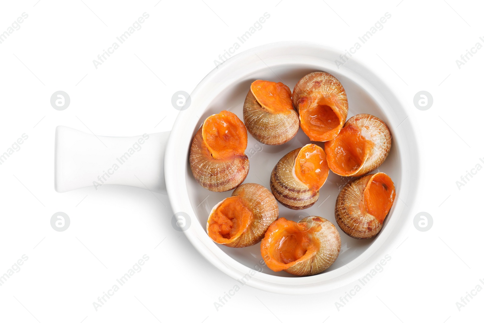 Photo of Delicious cooked snails isolated on white, top view