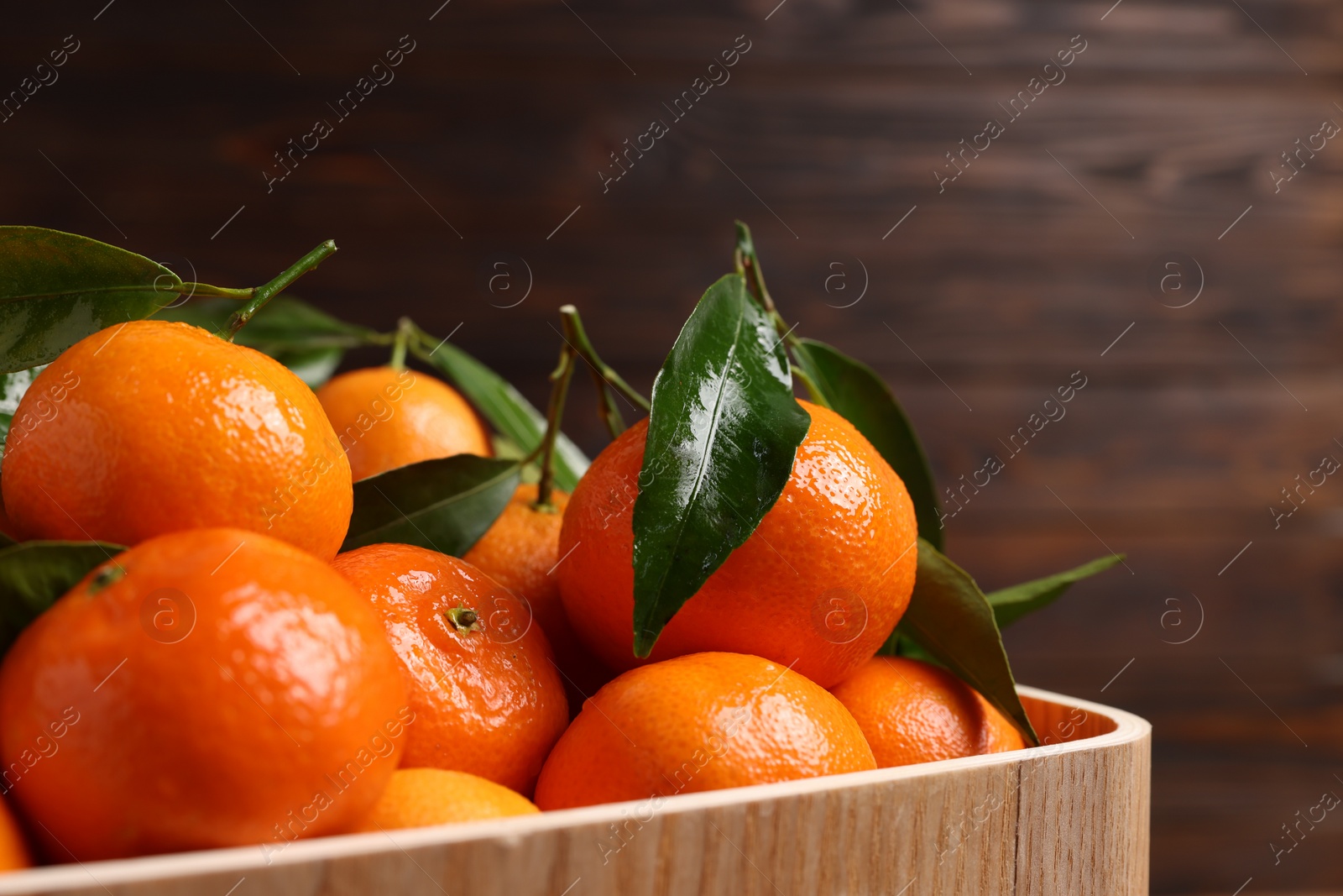 Photo of Fresh tangerines with green leaves in wooden crate, closeup. Space for text