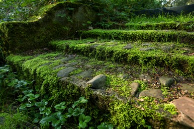 Photo of Stone stairs overgrown with green moss outdoors