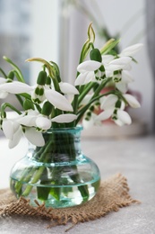 Beautiful snowdrops in vase on light grey table near window