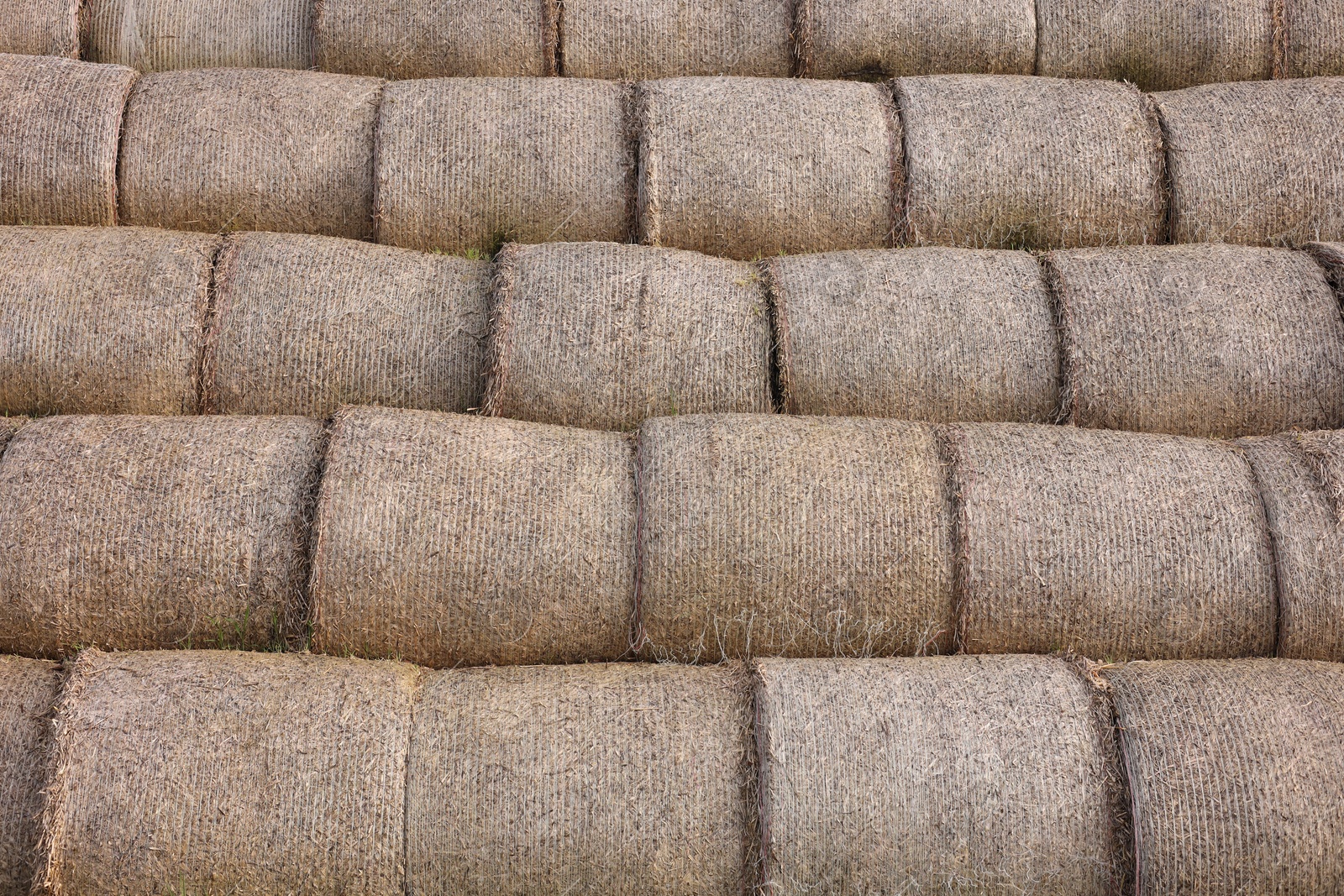 Photo of Many hay bales as background, closeup view