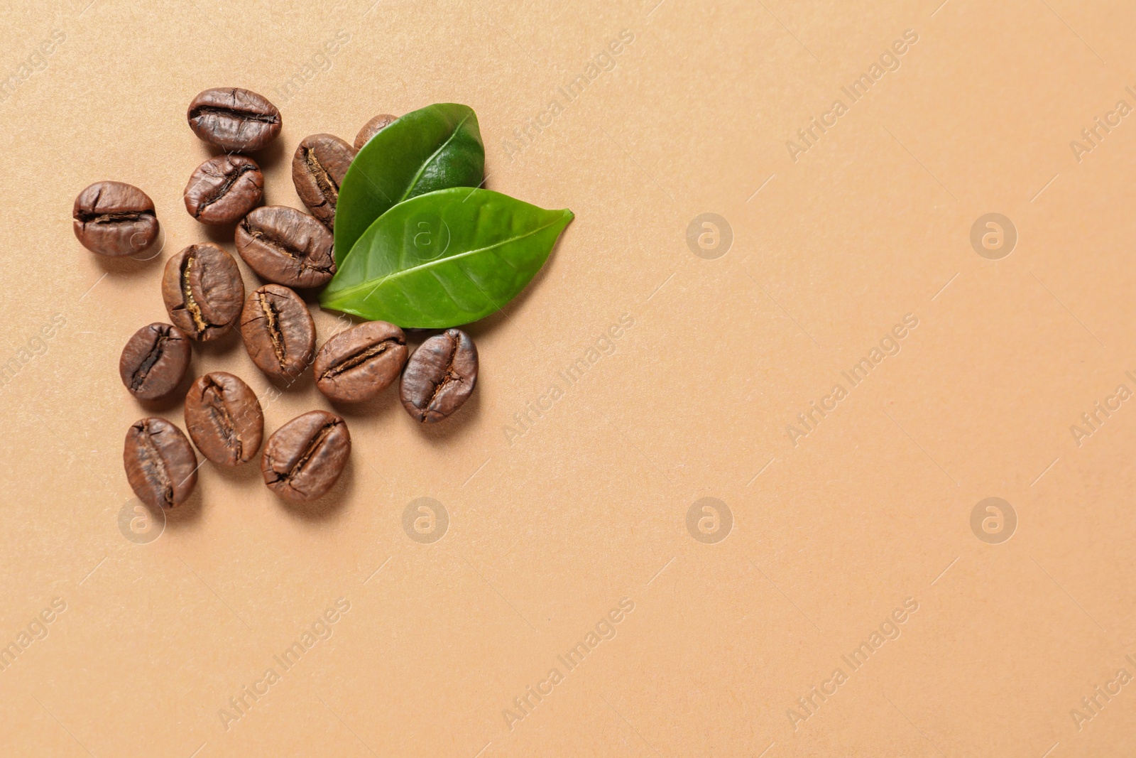 Photo of Fresh green coffee leaves and beans on light orange background, flat lay. Space for text