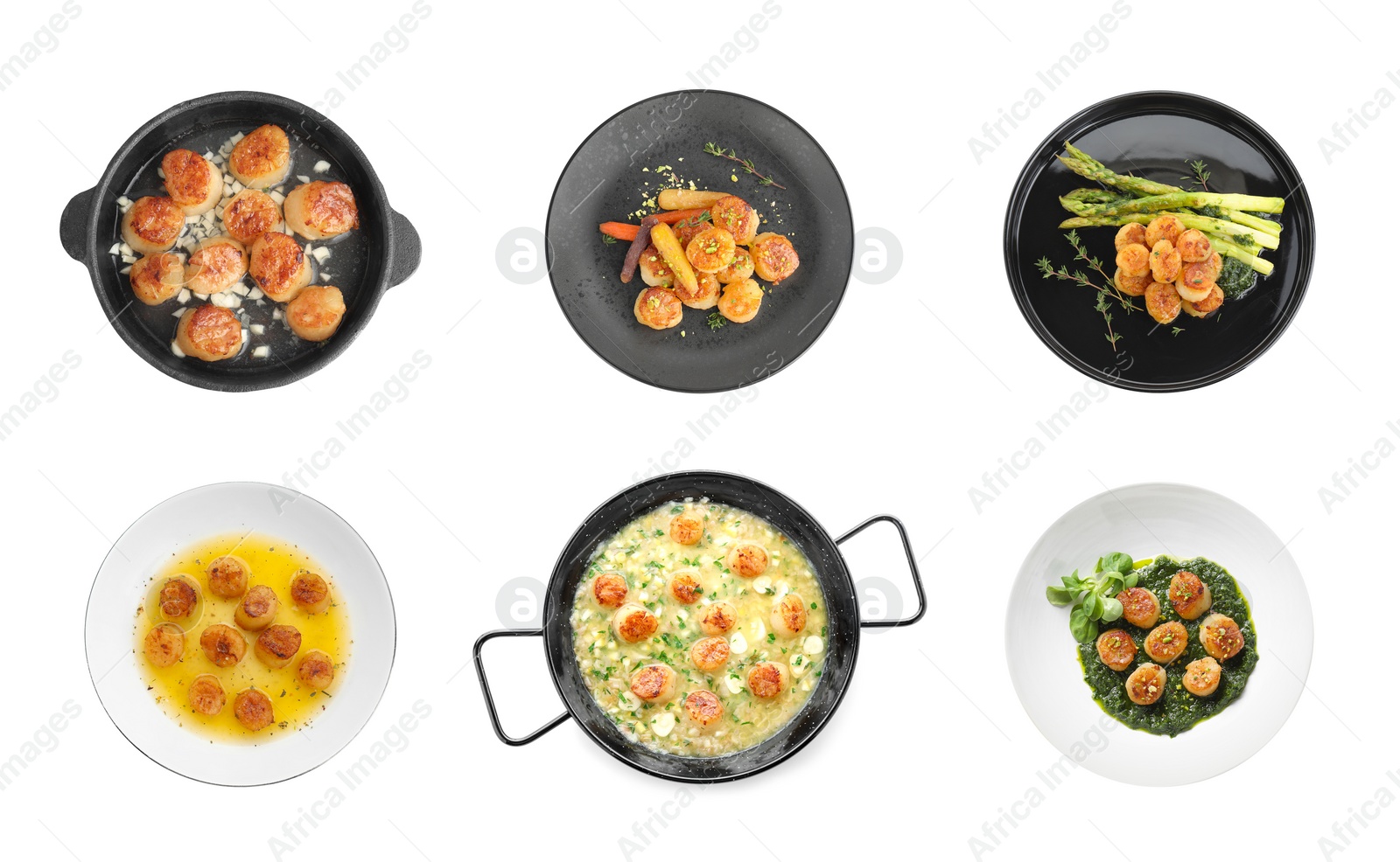 Image of Set with delicious fried scallops isolated on white, top view