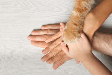 Photo of Closeup of family and cat holding hands together on light wooden floor, top view. Space for text